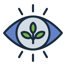 Vision icon