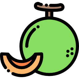 Melon icon