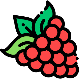 Raspberry icon