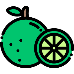 Lime icon