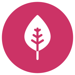 Leaf icon