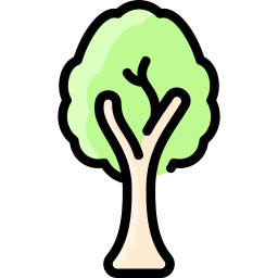 eukalyptus icon