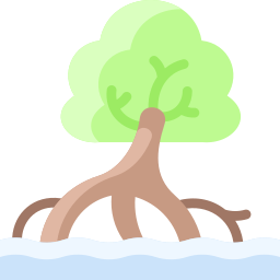 Mangrove icon