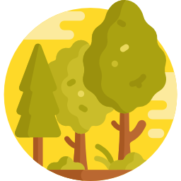 Forest icon