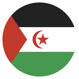 flagge icon