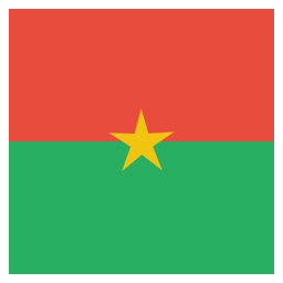 Flag icon