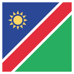 Flag icon