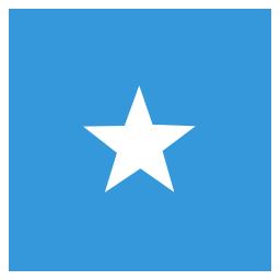 Flag icon