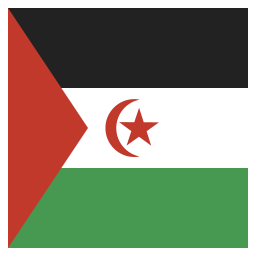 flagge icon