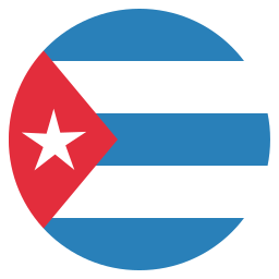 flagge icon