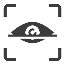 Security icon