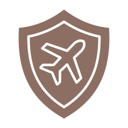 Shield icon