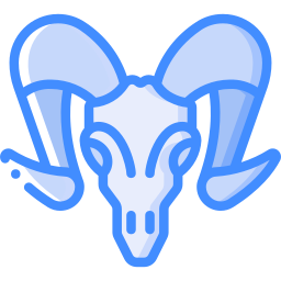 Skull icon