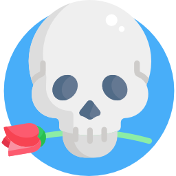 Skull icon