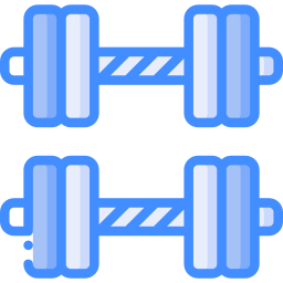 Weights icon