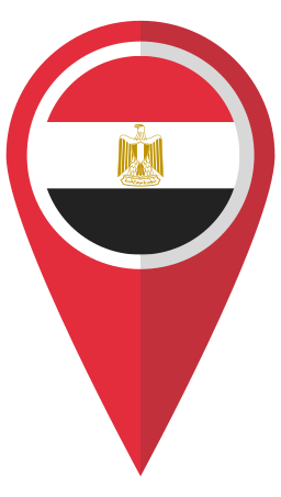 Map icon