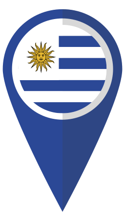 Map icon