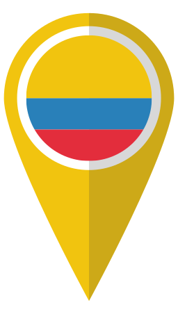 Map icon