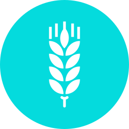 Wheat icon