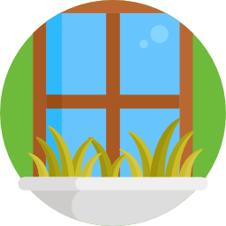 Window icon