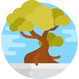 Bonsai icon