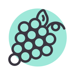 Berry icon