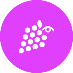 Berry icon