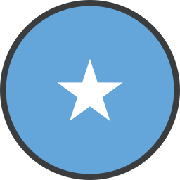 Flag icon