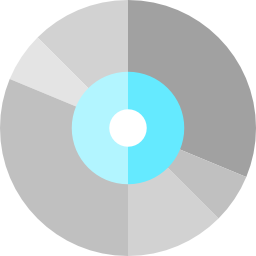 vinyl icon