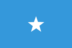 flagge icon