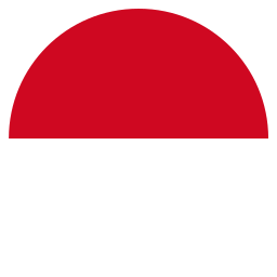 Flag icon