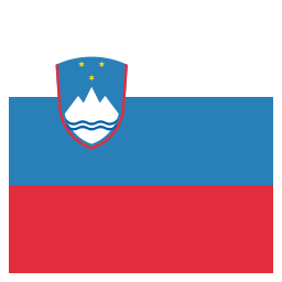 vlag icoon