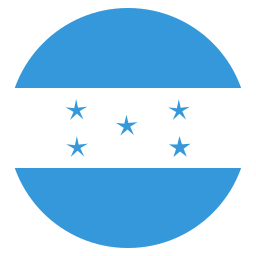 Flag icon