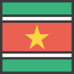 flagge icon