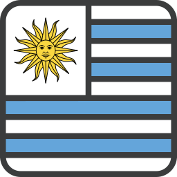 Flag icon