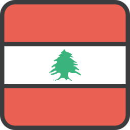 flagge icon