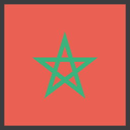 flagge icon