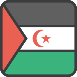 Flag icon