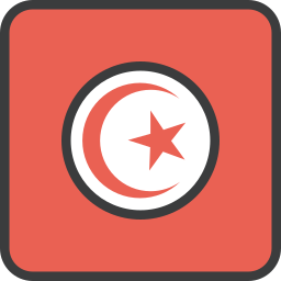 Flag icon