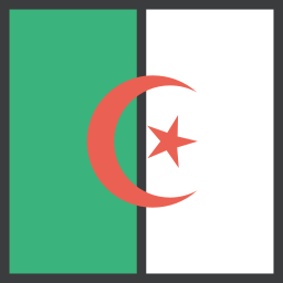 flagge icon