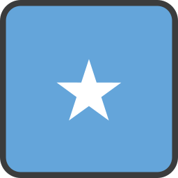 flagge icon