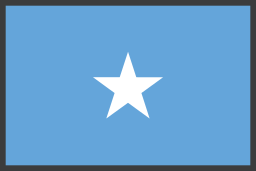 Flag icon