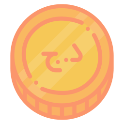 Currency icon