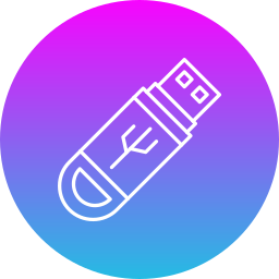 flash-disk icon