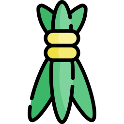 Calamus icon