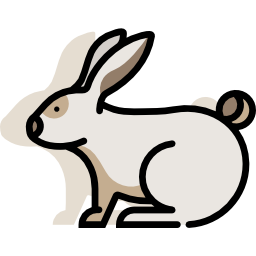 Rabbit icon