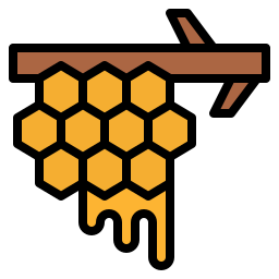 Honeycomb icon