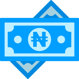 Naira icon