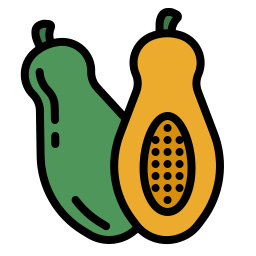 papaya icon