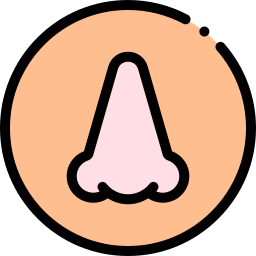 Smell icon